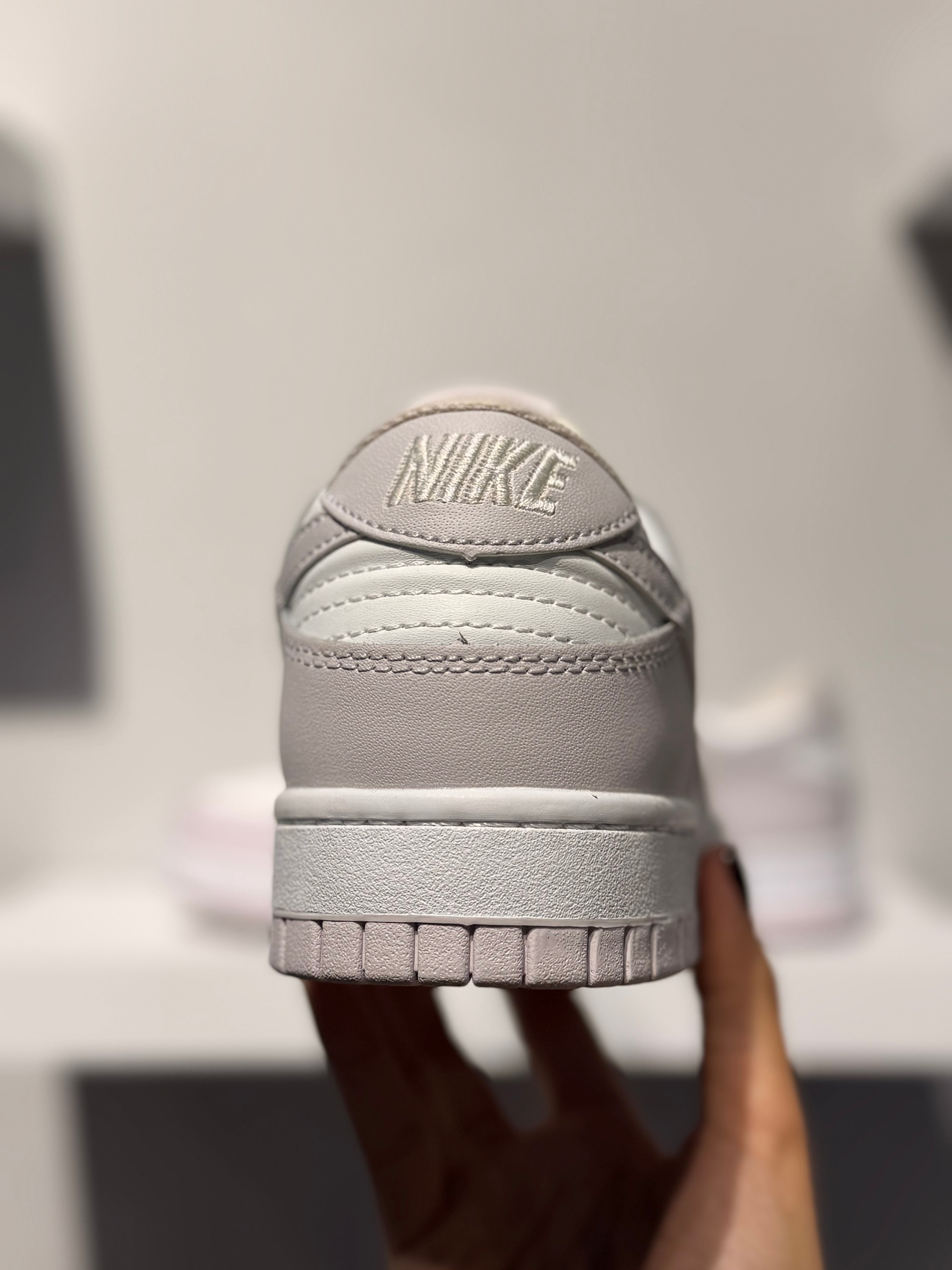 NIKE DUNK LOW VENICE