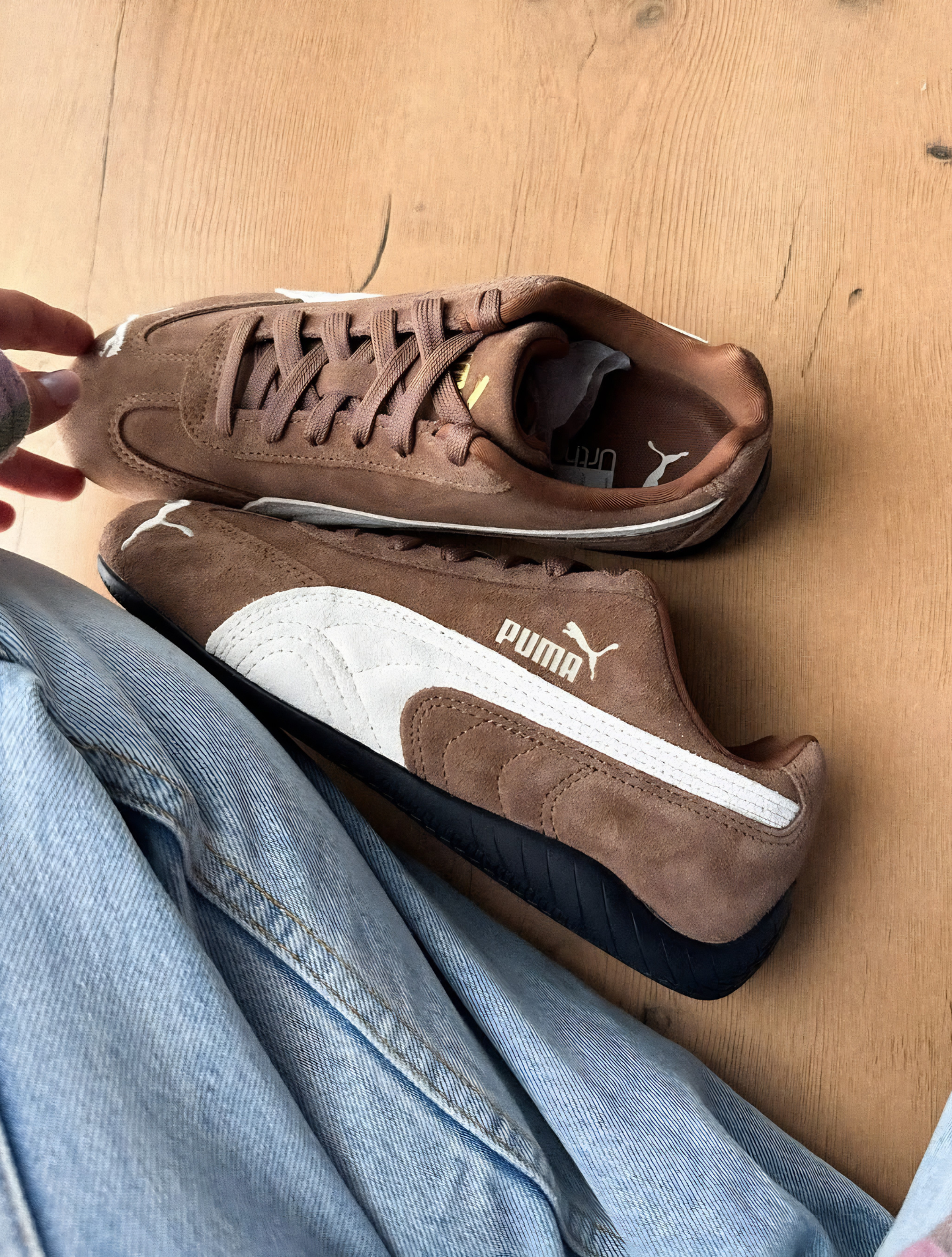 PUMA SPEEDCAT OG HAUTE COFFEE