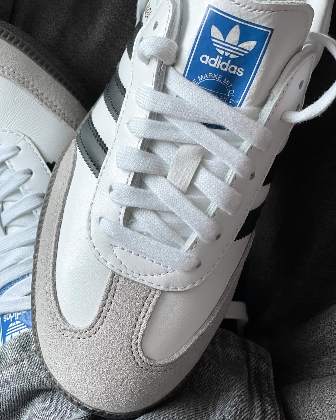 SAMBA OG WHITE