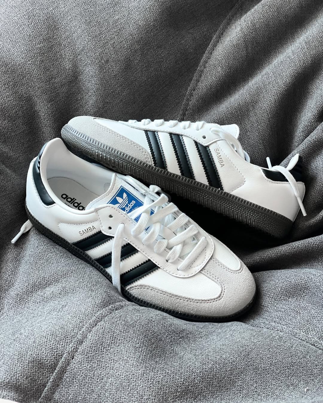 SAMBA OG WHITE